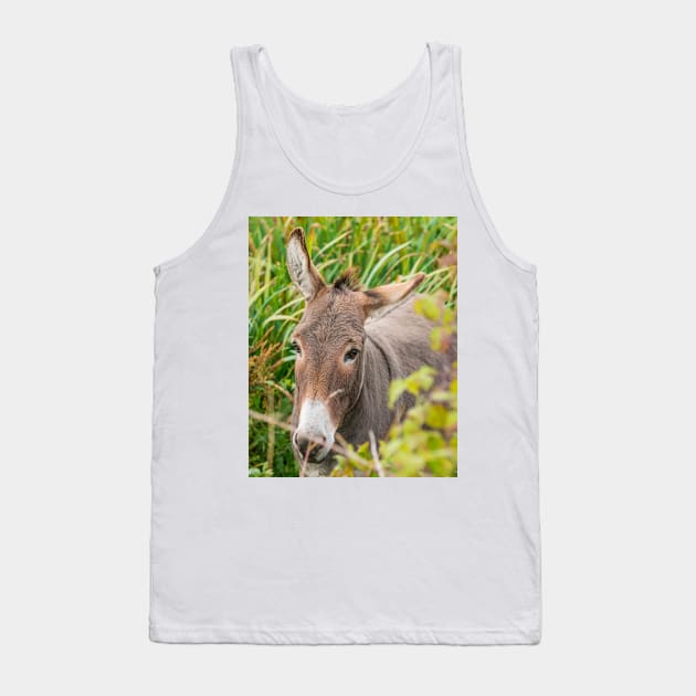 Donkey Tank Top by mbangert